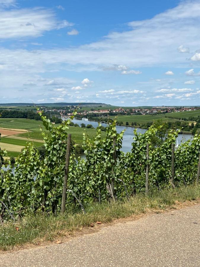 Loft Auf 2 Etagen, Naehe Neckar