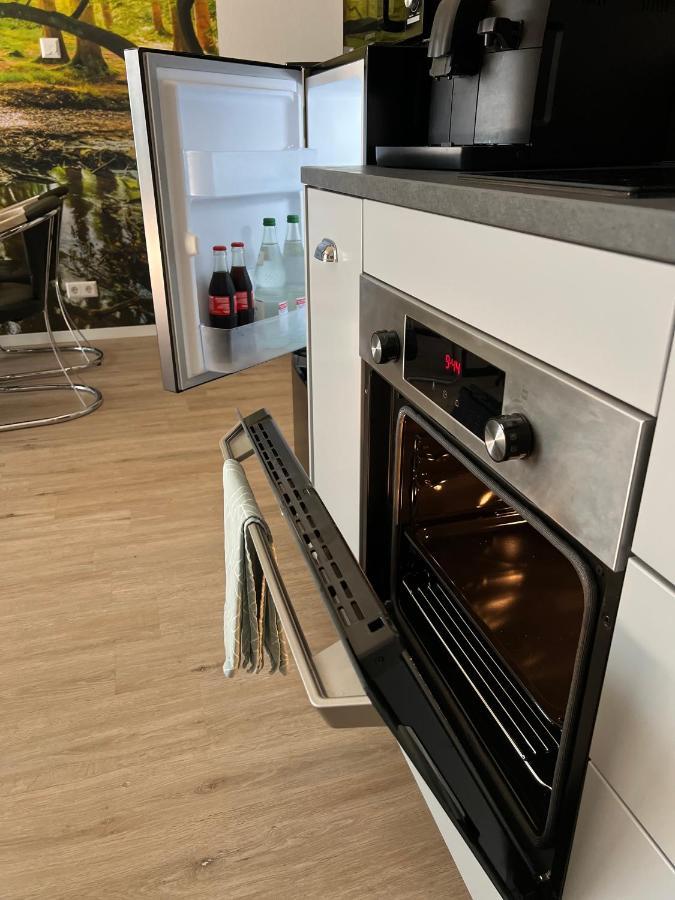 Appartement Loft Auf 2 Etagen, Naehe Neckar